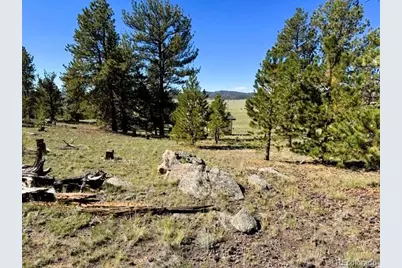 126 Zion Court, Hartsel, CO 80449 - Photo 2