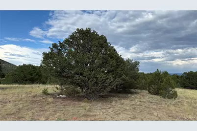 21st Trail, Cotopaxi, CO 81223 - Photo 14