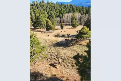 13108 Elsie Road, Conifer, CO 80433 - Photo 28