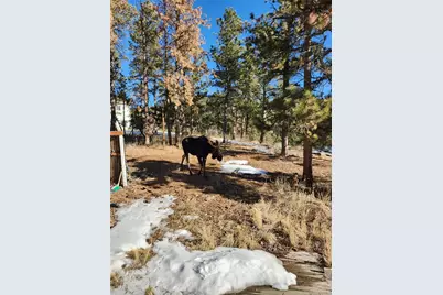 13108 Elsie Road, Conifer, CO 80433 - Photo 24