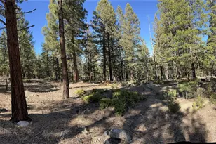 Aspen Turn, Buena Vista, CO 81211 - Photo 1