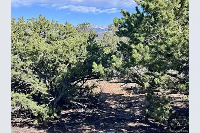 Lot 3292 Geneen Road, Fort Garland, CO 81133 - Photo 12