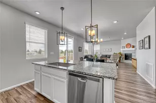 604 Silver Rock Trl, Castle Rock, CO 80104 - Photo 12