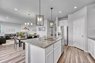 604 Silver Rock Trl, Castle Rock, CO 80104 - Photo 10
