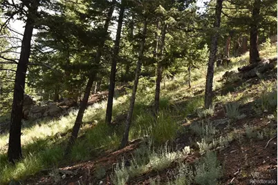 000 Upper Moss Rock Road, Golden, CO 80401 - Photo 4