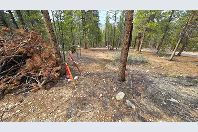 67 Lodgepole Drive, Leadville, CO 80461 - Photo 2