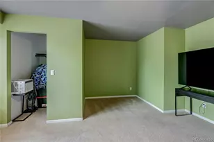 21316 E 55th Pl, Denver, CO 80249 - Photo 16