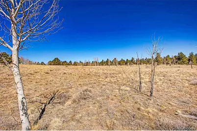 1250 Kaufman Road, Hartsel, CO 80449 - Photo 6