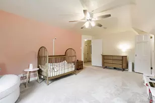 1345 Grape St, Denver, CO 80220 - Photo 20