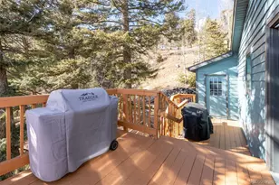 11608 Nichols Way, Conifer, CO 80433 - Photo 42