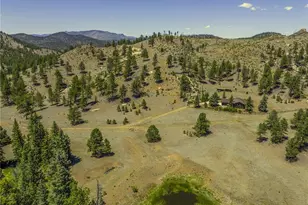 146 Toms Rnch Rd, Lake George, CO 80827 - Photo 8