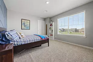 13994 Shasta Daisy St, Parker, CO 80134 - Photo 28