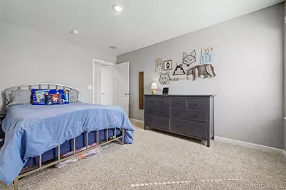 13994 Shasta Daisy Street, Parker, CO 80134 - Photo 32