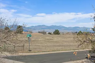 9943 Sydney Ln, Highlands Ranch, CO 80130 - Photo 32