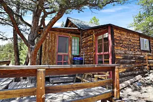 28368 Cedar Ave, Pine, CO 80470 - Photo 4