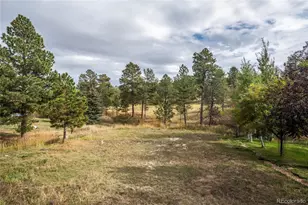 1312 Gambel Oaks Dr, Elizabeth, CO 80107 - Photo 40