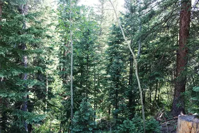Lot 31 Sunflower Road, Black Hawk, CO 80422 - Photo 12