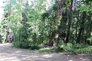 Lot 31 Sunflower Rd, Black Hawk, CO 80422 - Photo 1