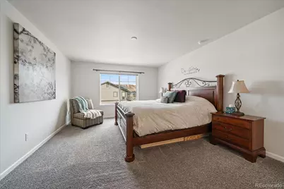 2989 Bittern Street, Castle Rock, CO 80104 - Photo 22