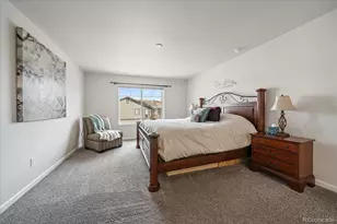 2989 Bittern St, Castle Rock, CO 80104 - Photo 22