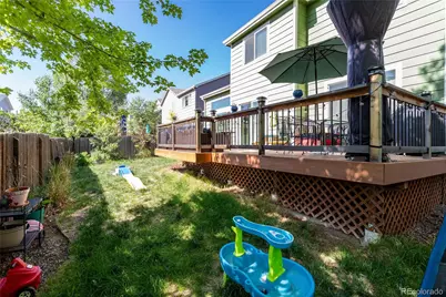 380 Dunhill Street, Castle Rock, CO 80104 - Photo 38