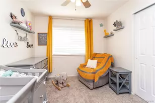 380 Dunhill St, Castle Rock, CO 80104 - Photo 26
