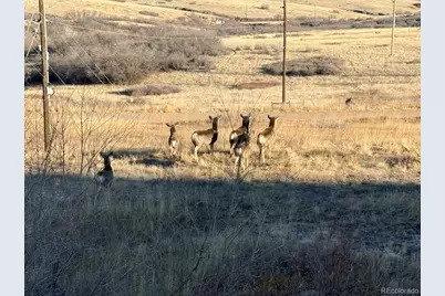 6917 Serena Drive, Castle Pines, CO 80108 - Photo 44