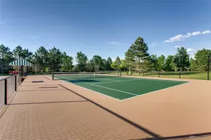 8643 Gold Peak Dr, Highlands Ranch, CO 80130 - Photo 38