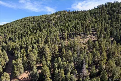 13126 Andiron Way, Larkspur, CO 80118 - Photo 10