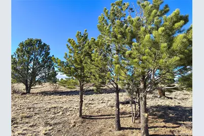 415 Olympic Circle, Hartsel, CO 80449 - Photo 2