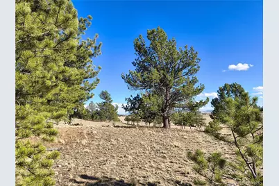 415 Olympic Circle, Hartsel, CO 80449 - Photo 8