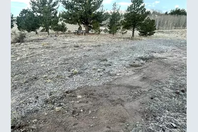 415 Olympic Circle, Hartsel, CO 80449 - Photo 42