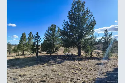 415 Olympic Circle, Hartsel, CO 80449 - Photo 12