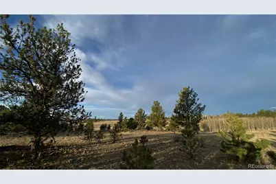 415 Olympic Circle, Hartsel, CO 80449 - Photo 36