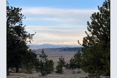 415 Olympic Circle, Hartsel, CO 80449 - Photo 24