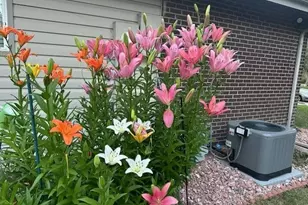 3225 S Garrison Street, Lakewood, CO 80227 - Photo 28