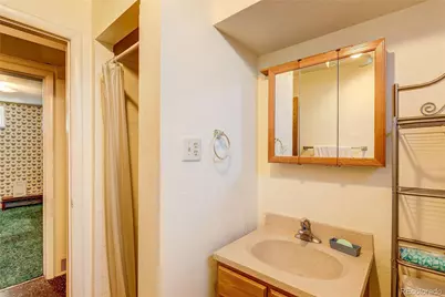 10434 Downing Street, Northglenn, CO 80233 - Photo 22