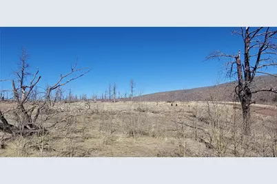 Lot 1566 Cary Lane, Fort Garland, CO 81133 - Photo 1