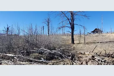 Lot 1566 Cary Lane, Fort Garland, CO 81133 - Photo 2