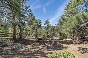 26591 Wolverine Trail, Evergreen, CO 80439 - Photo 46