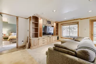 9518 Troon Village Drive, Lone Tree, CO 80124 - Photo 22