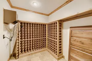 9518 Troon Village Dr, Lone Tree, CO 80124 - Photo 28