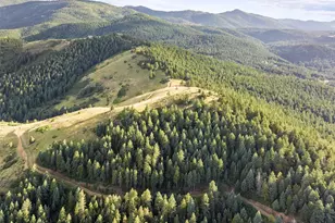 18844 Ute Vista Trail, Morrison, CO 80465 - Photo 50