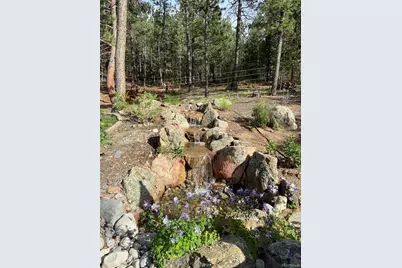 186 Territory Drive, Pine, CO 80470 - Photo 40