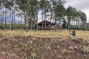 2424 Petito Dr, Fort Garland, CO 81133 - Photo 2