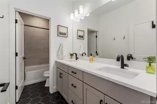 11101 Bright Sky St, Littleton, CO 80125 - Photo 24