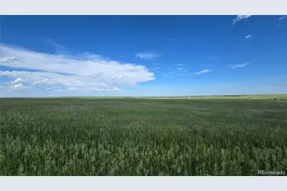 29130 County Road 153, Agate, CO 80101 - Photo 2