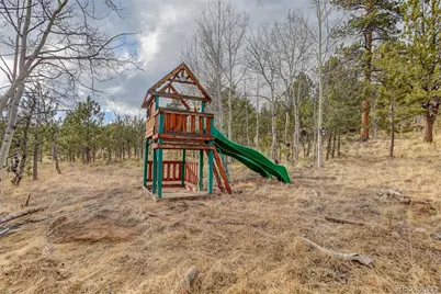 38 Mesa Court, Bailey, CO 80421 - Photo 30