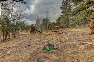 38 Mesa Ct, Bailey, CO 80421 - Photo 38