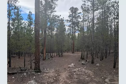 663 Spruce Drive, Twin Lakes, CO 80461 - Photo 4